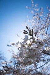 DSC_1073.jpg