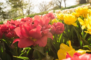 DSC_1248.jpg
