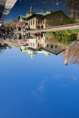 DSC_1197.jpg