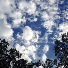2013-08-23 17.44.47