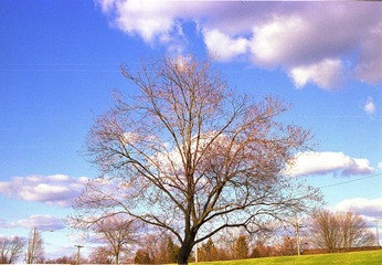 Untitled-20