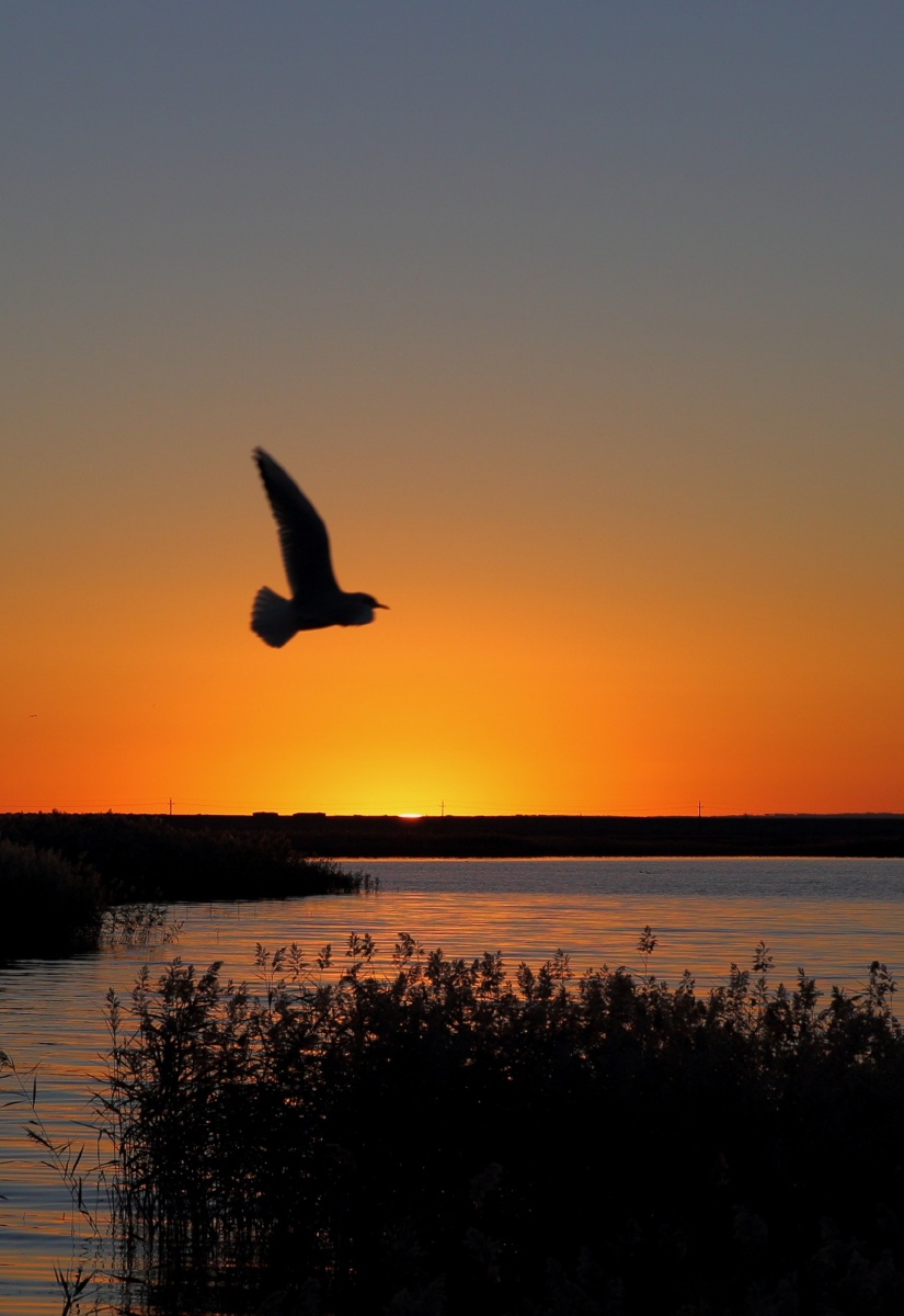 太阳升起来 - 老汉321 - 图虫网 - 优质摄影师交流社区