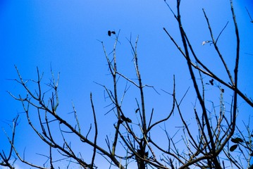 DSC_2909-2.jpg