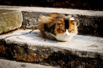DSC_2943-4.jpg