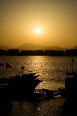 _DSC8580
