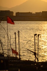 _DSC8584