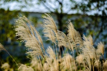_DSC9149