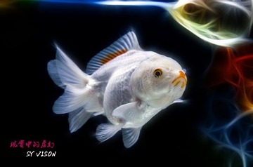 DSC_7574.jpg