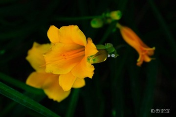 未命名-9.jpg