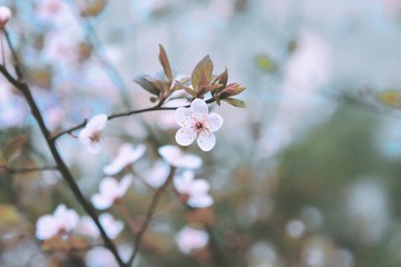 IMG_2726.jpg