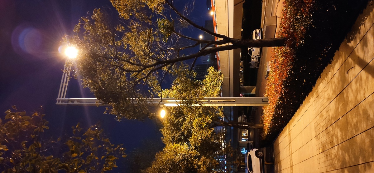 冬日里的暖光 - 仔仔จบ - 图虫