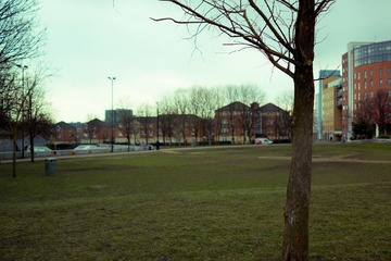 DSC01852.jpg