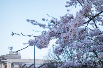 DSC02805.jpg