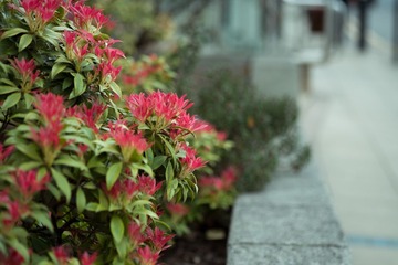 DSCF1293-18.jpg
