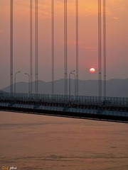 IMG_2038-3111.jpg