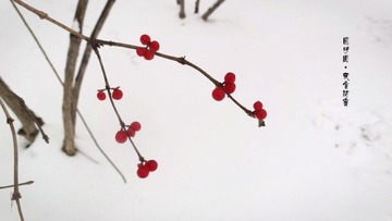 dsc06862_副本_副本.jpg
