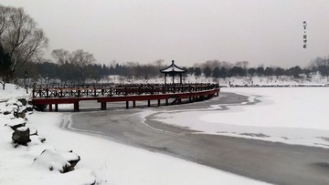 dsc06947_副本.jpg