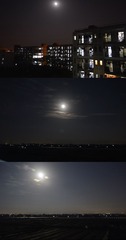 月光.jpg