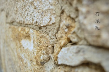 _DSC0488.jpg