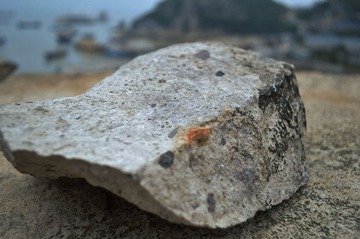 _DSC0670.jpg