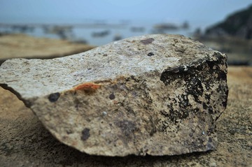 _DSC0671.jpg