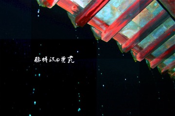 CSC_1154.jpg
