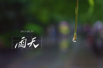 CSC_0619.jpg