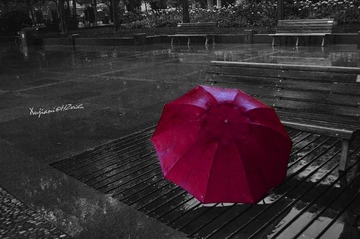 CSC_0709.jpg