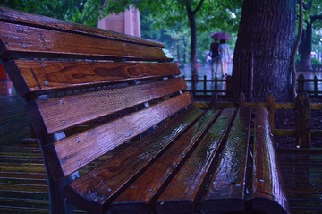 CSC_0711.jpg