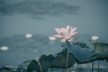 001