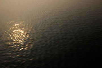 IMG_9265-1