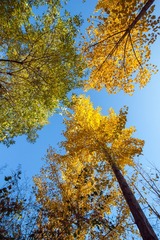 IMG_8794-1
