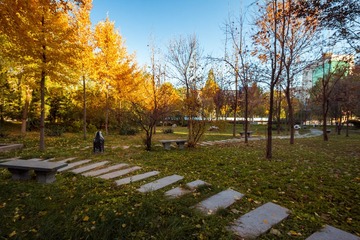 IMG_8802-1-2