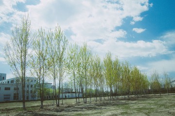IMG_0231-1