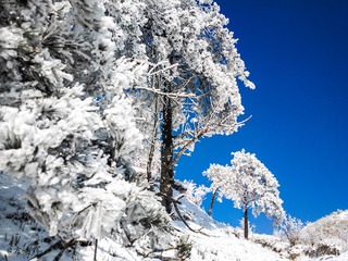 20160124-5