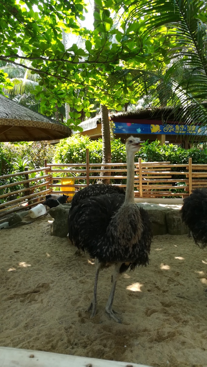 海南三亚蜈支洲岛