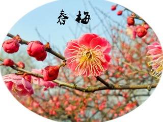 SAM_8661_副本.jpg
