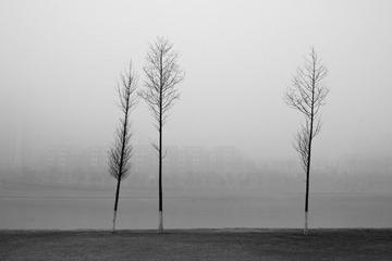 DSC_4571.jpg
