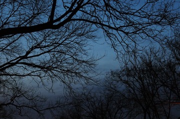DSC_5163.JPG