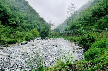 DSC_8338.JPG