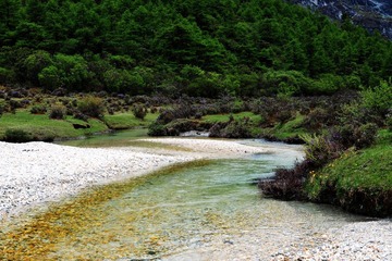 DSC_0628.JPG