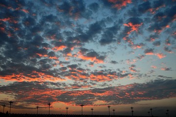 DSC_1848.JPG