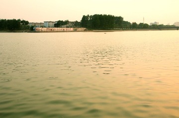DSC_1049.JPG