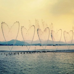 DSC_529212.jpg