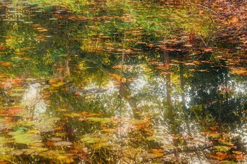 DSC_22211.jpg