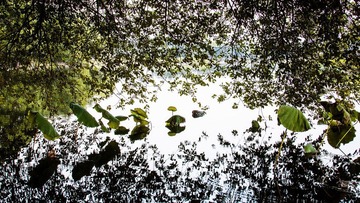 DSC_2293.jpg