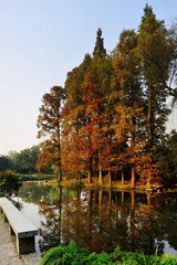 未标题_全景图113.jpg