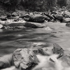 DSC_378411.jpg