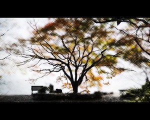 DSC_48301233.jpg