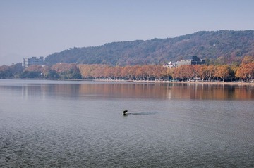 DSC_4649.jpg